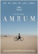 Amrum - Når tidevandet kommer